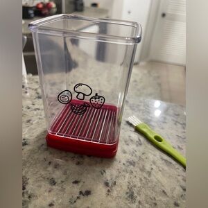 Fruit and veggie slicer with Red Base and Food Icons